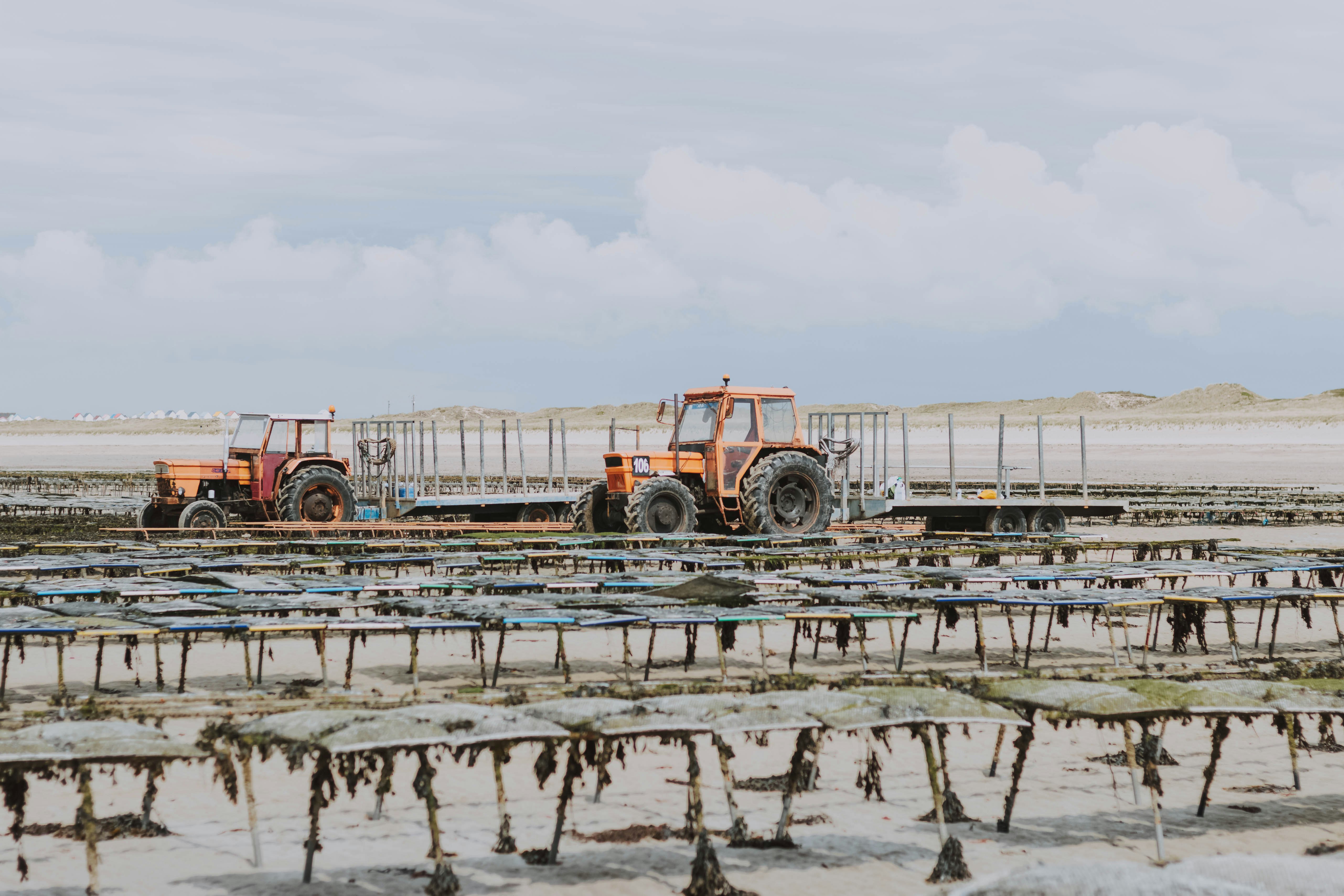 two heavy equipment parked on ground